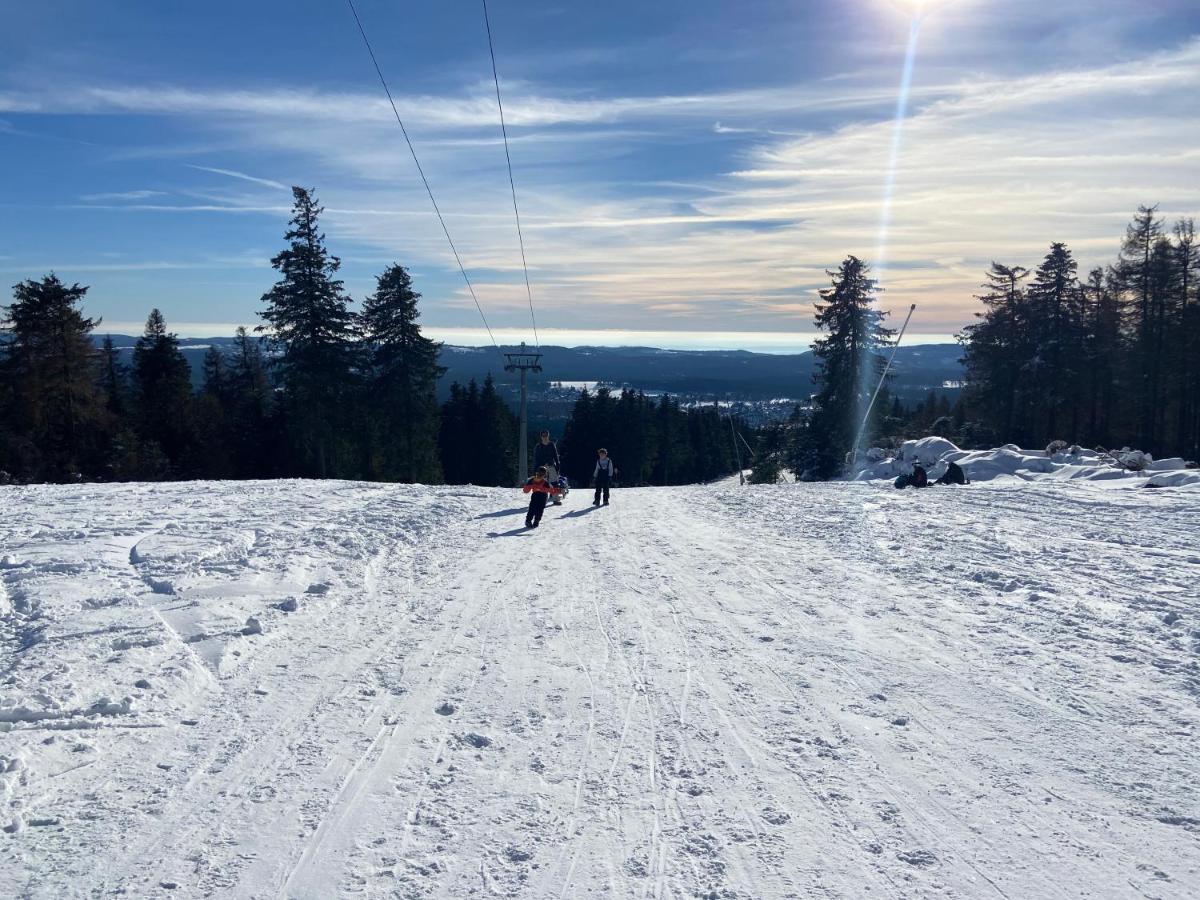 Luxurioese 3-Zi. Ferienwohnung Jagdromantik 200 M Bis Zur Wurmbergsseilbahn Braunlage Exterior foto