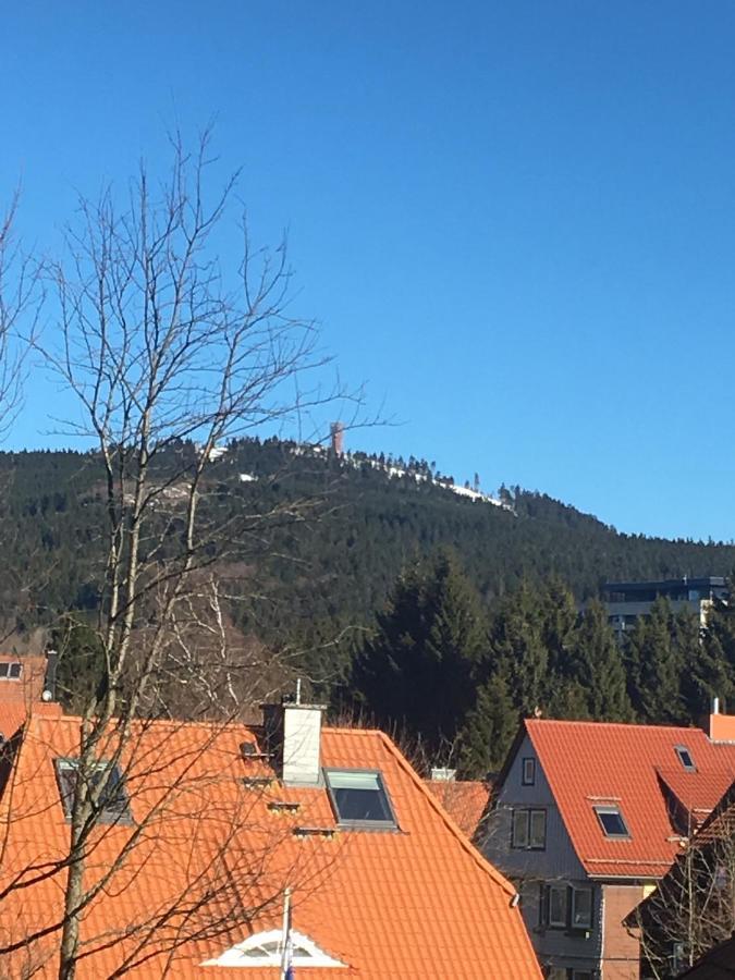 Luxurioese 3-Zi. Ferienwohnung Jagdromantik 200 M Bis Zur Wurmbergsseilbahn Braunlage Exterior foto
